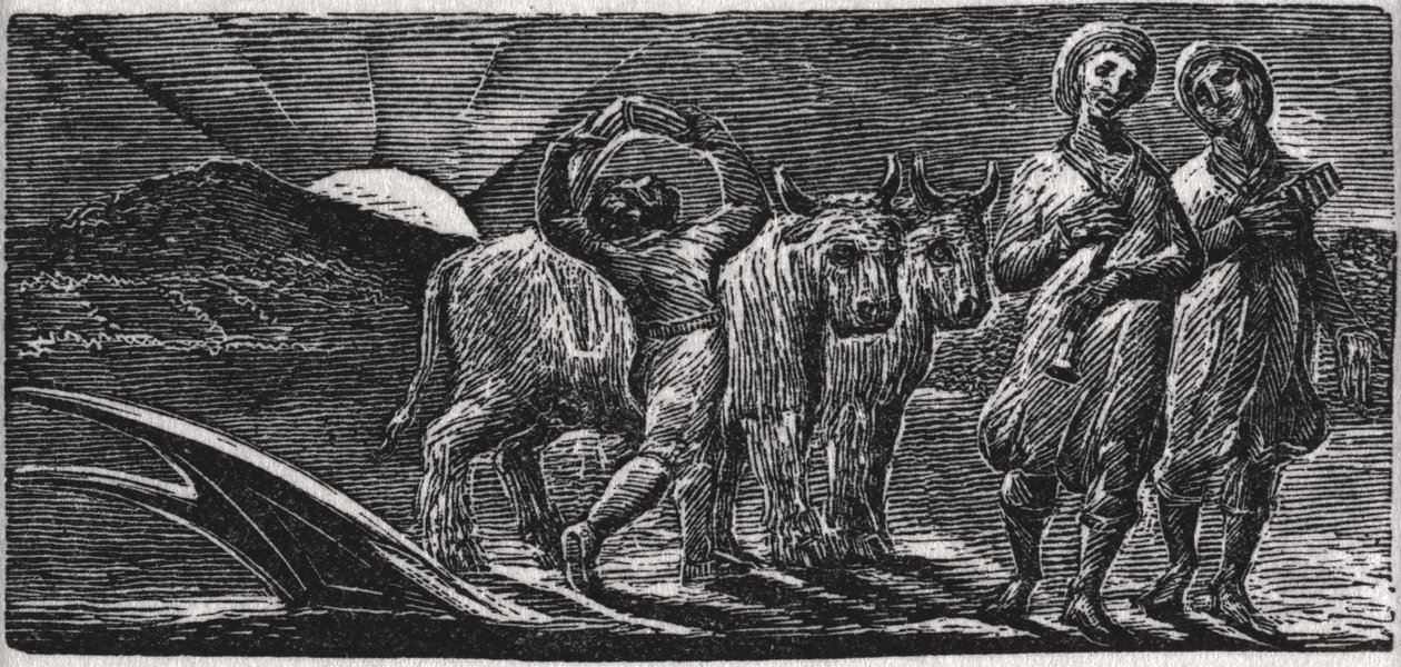 With Songs the Jovial Hinds Return from Plow, ilustrace z Dr. Thorntona 