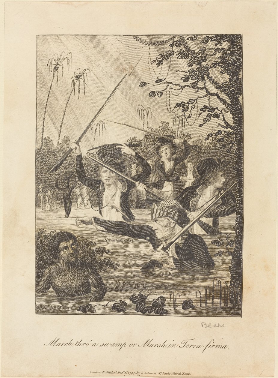 Projděte bažinami nebo močály v Terra-firmě od William Blake after John Gabriel Stedman