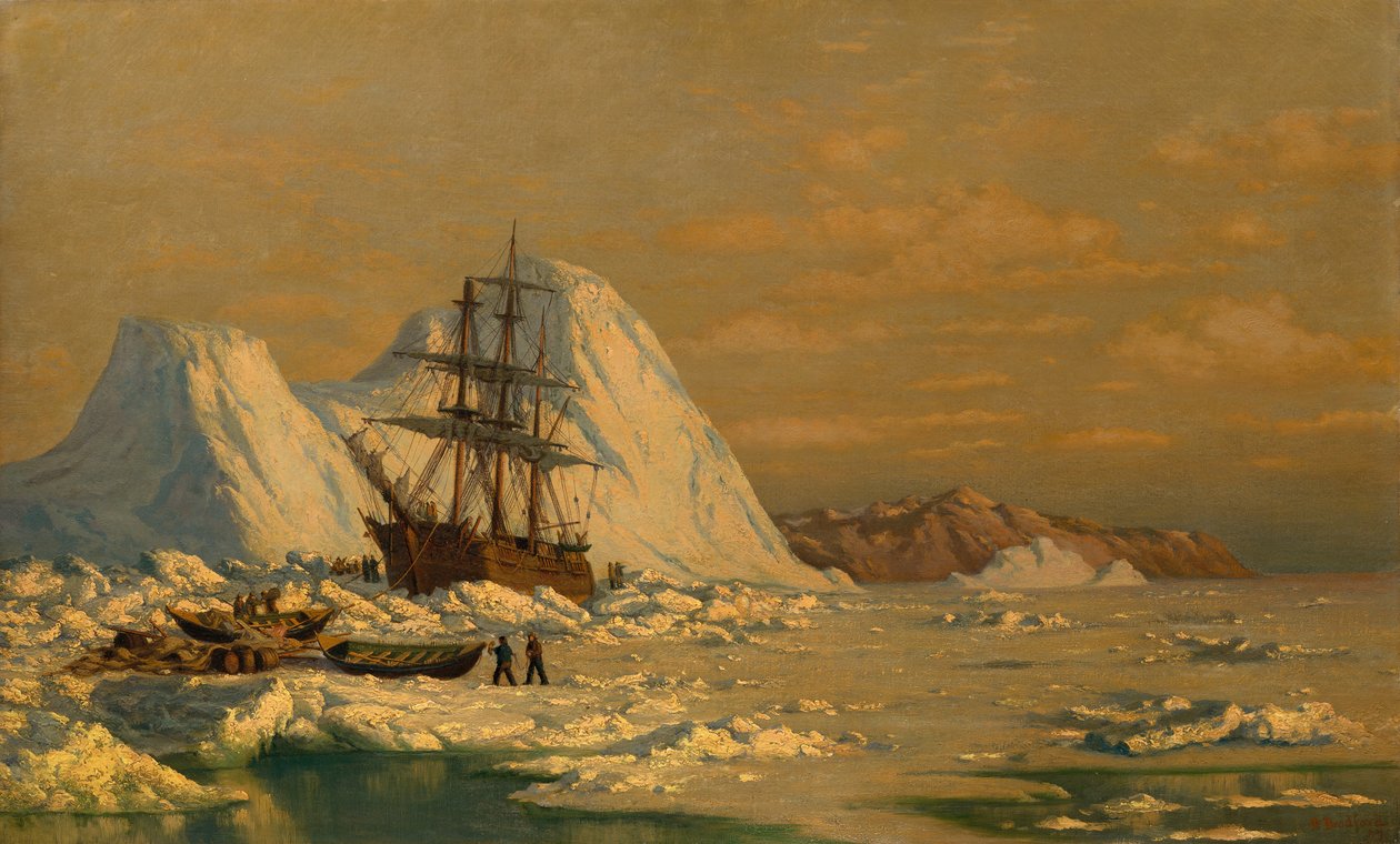 Incident lovu velryb. od William Bradford