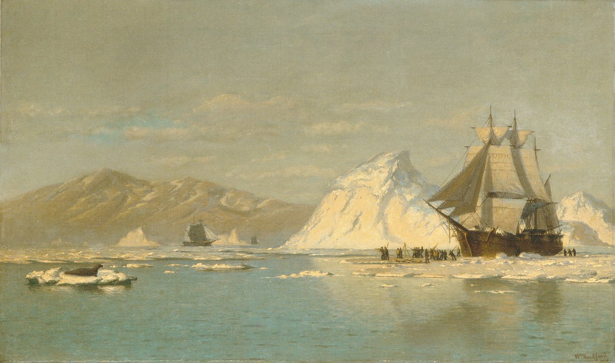 U Grónska – velrybář hledající otevřenou vodu. od William Bradford