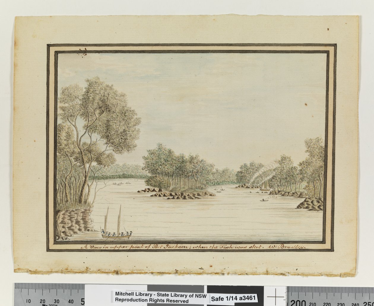 Opp. p. 120. `Pohled v horní části Port Jackson; když byla ryba zastřelena.“, cca 1802 (akvarel) od William Bradley