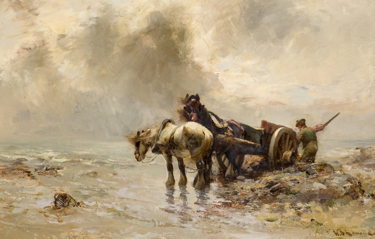 Carting mořské řasy (olej na plátně) od William Bradley Lamond