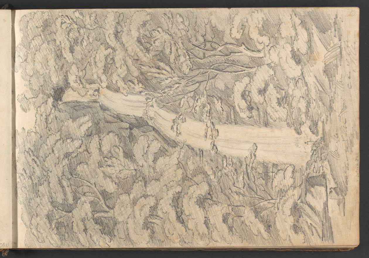 Lidford Fall od William Brockedon