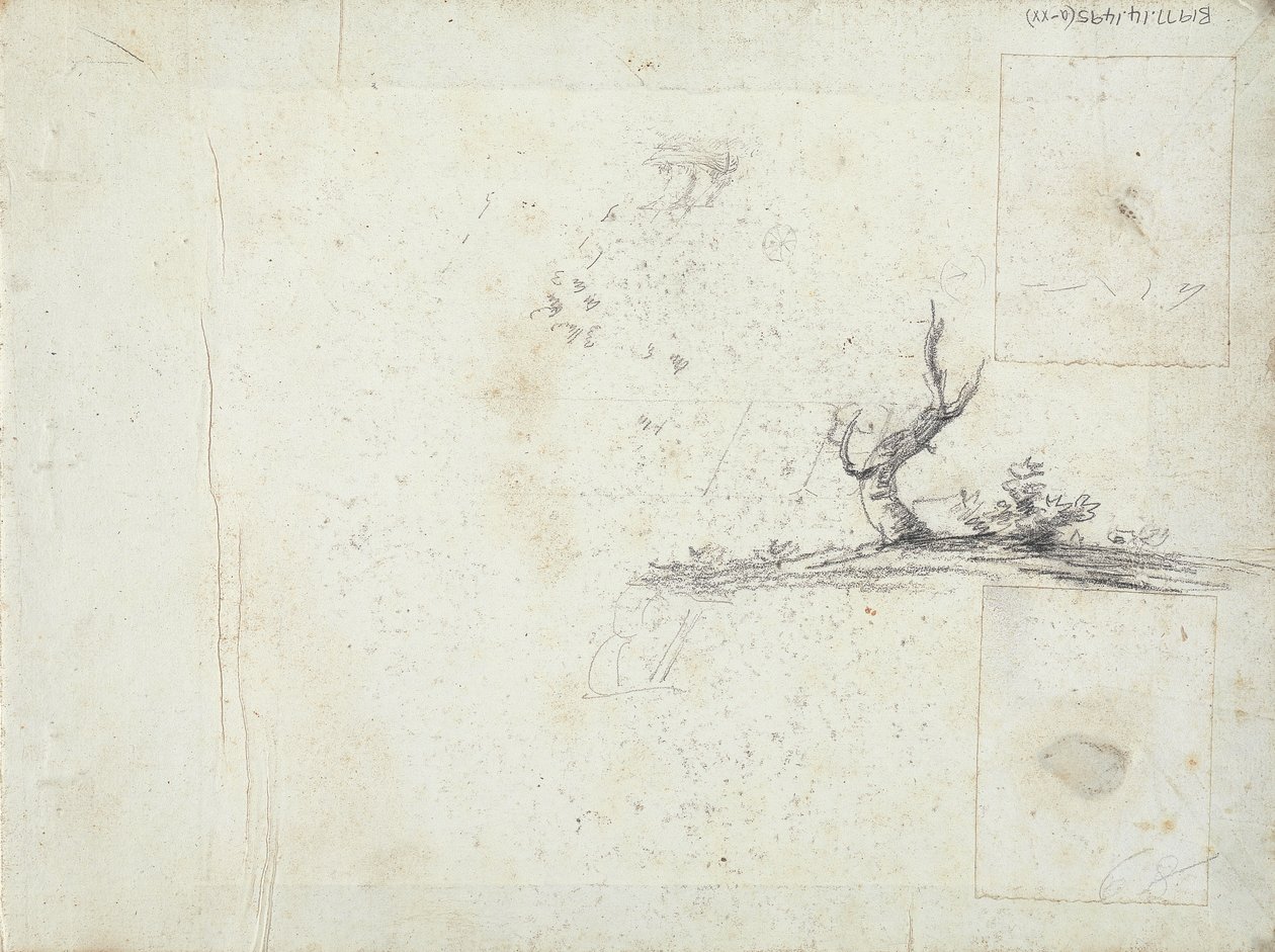 vnitřní přední strana obálky: Sketch of a Tree (obrácená) od William Brockedon