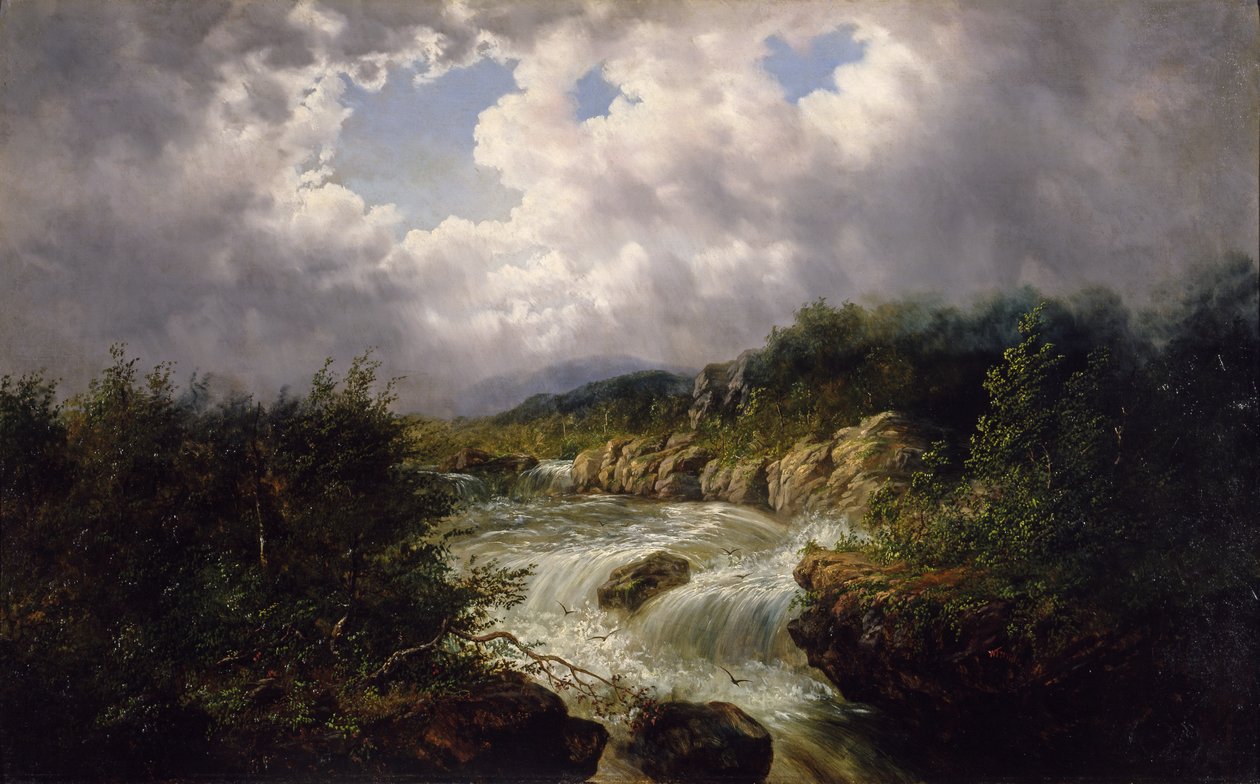 The Falls of Tamahaka, Cherokee County, North Carolina, cca 1860-70 (olej na plátně) od William Charles Anthony Frerichs