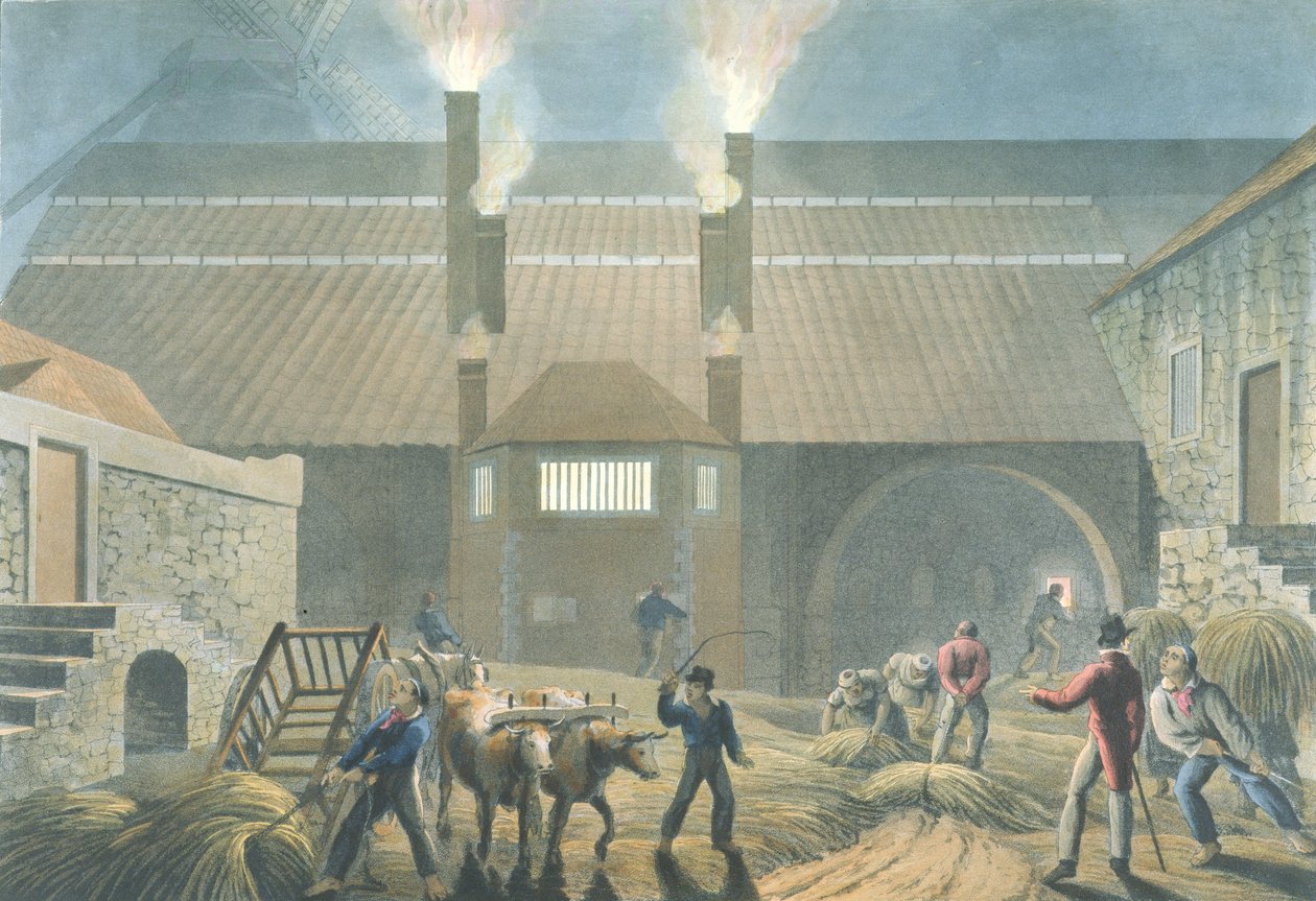 Exteriér varny, z „Deset pohledů na ostrově Antigua“, 1823 od William Clark