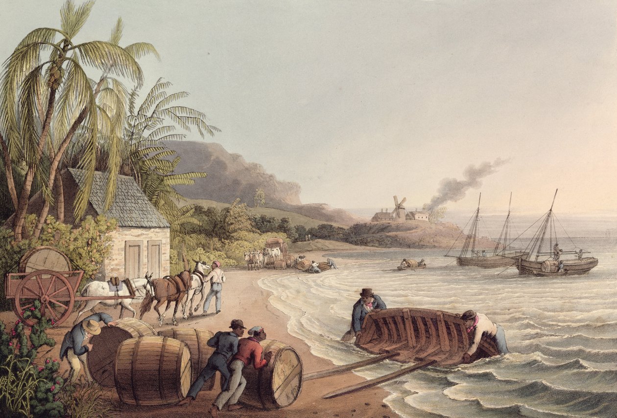 Nakládání sudů rumu a cukru, Antigua od William Clark