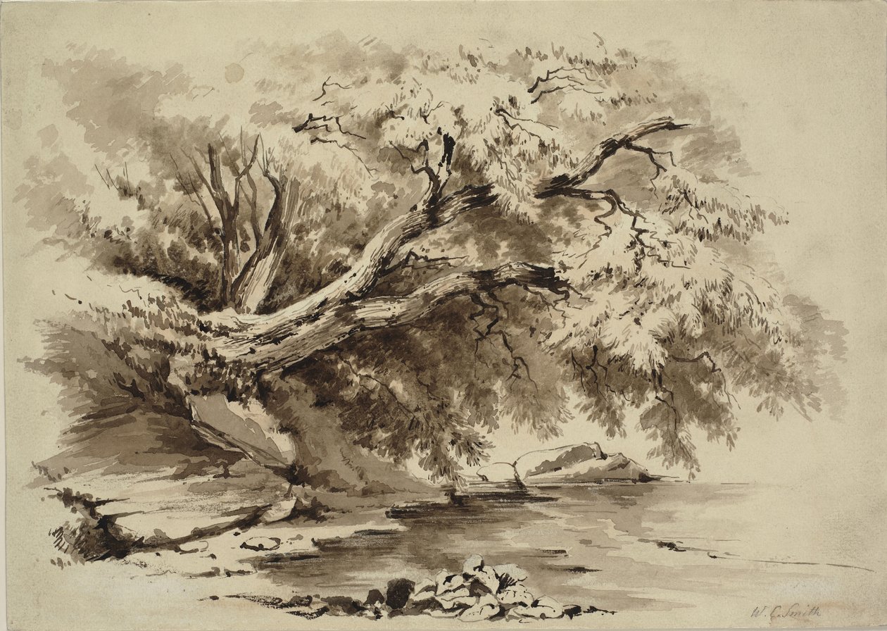 Krajina se stromy přečnívajícími nad jezerem od William Collingwood Smith