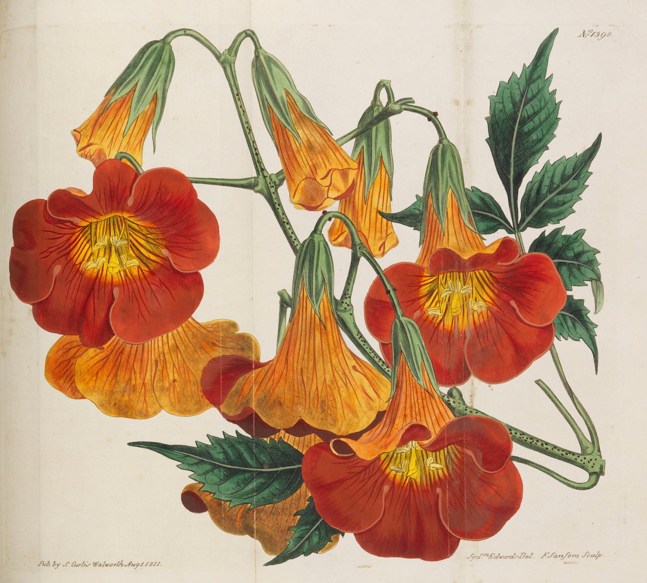 Botanický časopis, 1787-1833. od William Curtis
