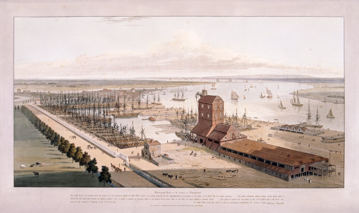 Brunswick Dock a East India Dock, Poplar, Londýn, 1803 od William Daniell