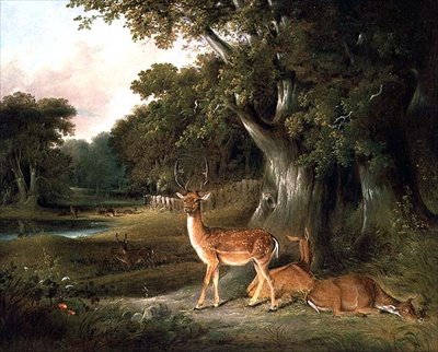 Jelen v zalesněné krajině od William Daniell