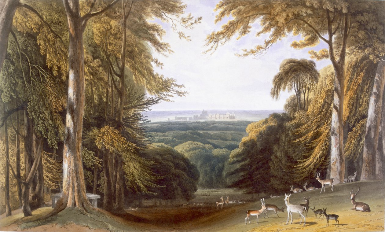 Glen v parku Windsor poblíž Bishops Gate, c1827-30. od William Daniell