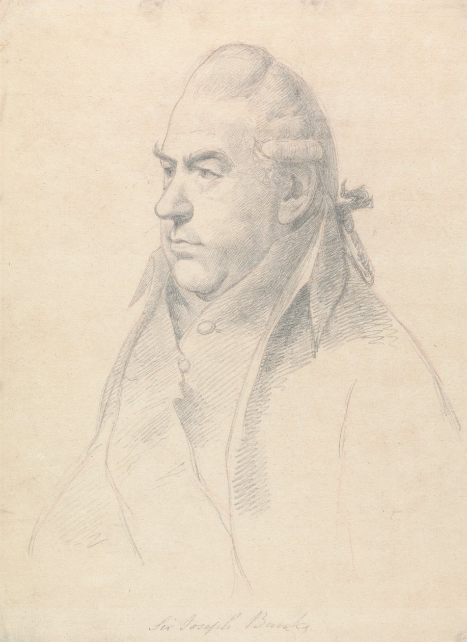 Sir Joseph Banks od William Daniell