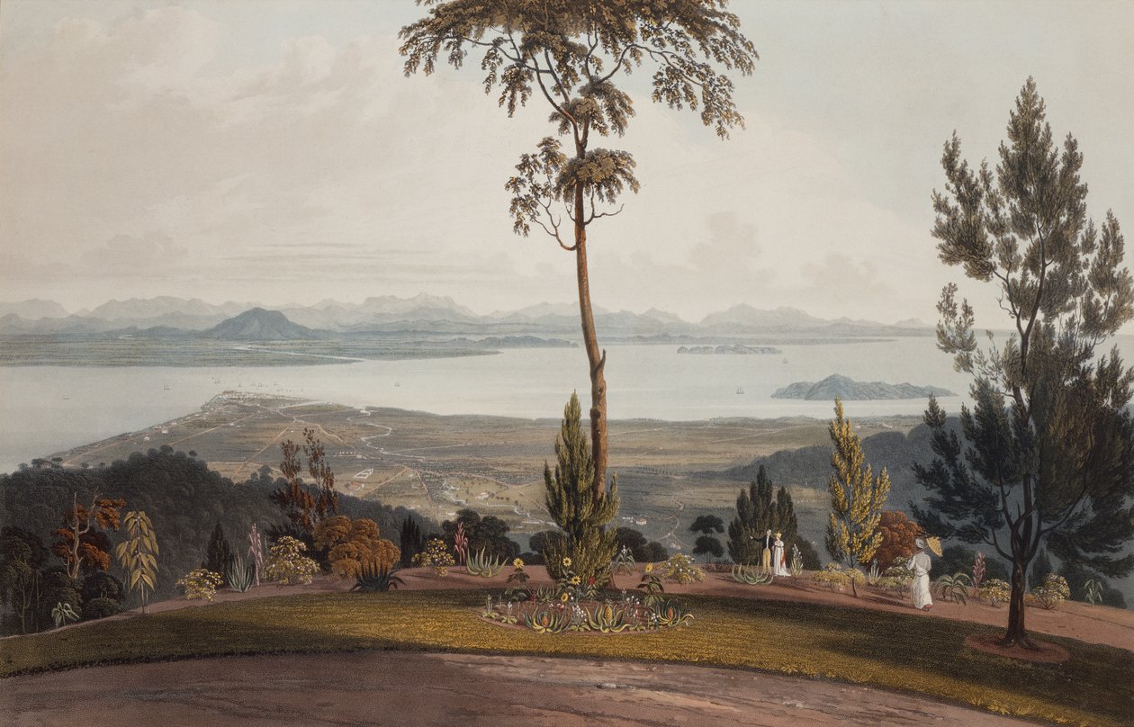 Pohled z Strawberry Hill, Ostrov prince z Walesu od William Daniell