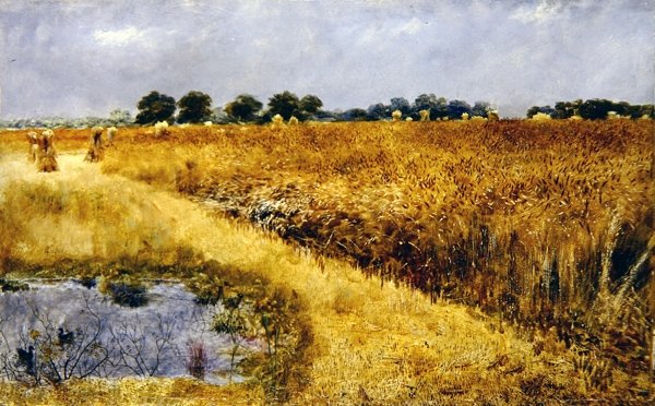 Kukuřičné pole (olej na palubě) od William Davis