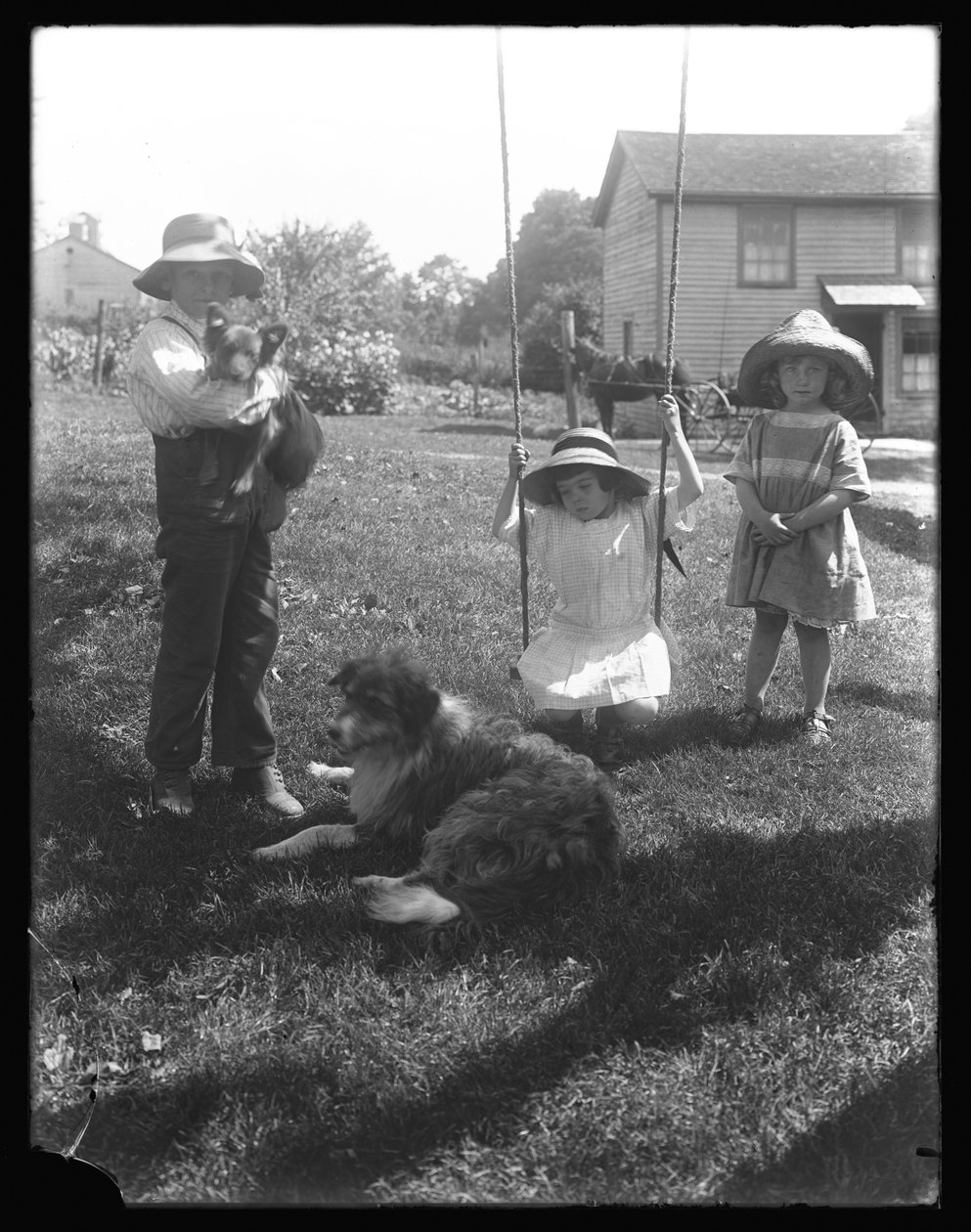 Děti se psem a štěnětem se shromáždily kolem lanové houpačky na McCready Farm, Pennsylvania, kolem roku 1913 od William Davis Hassler