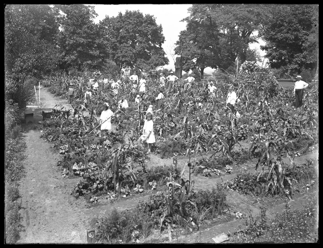 Děti pracující ve školní zahradě Isham Park, New York City, 16. srpna 1915 od William Davis Hassler