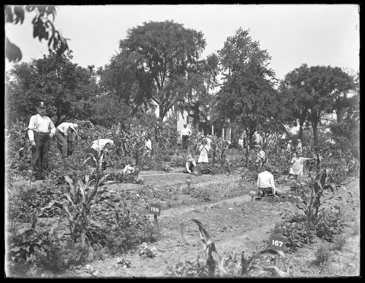 Děti pracující ve školní zahradě Isham Park, New York City, 16. srpna 1915 od William Davis Hassler
