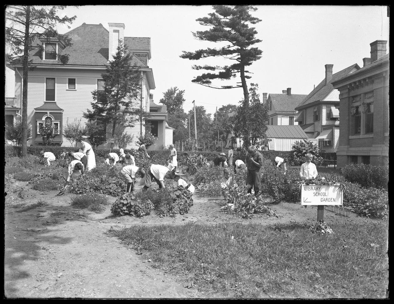 Děti pracující v zahradě v pobočce Poppenhusen veřejné knihovny Queens Borough, 14. srpna 1915 od William Davis Hassler