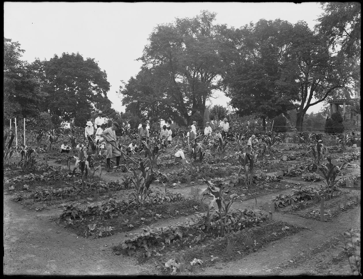 Děti pracující ve školní zahradě v Isham Park, New York City, 5. srpna 1914 od William Davis Hassler