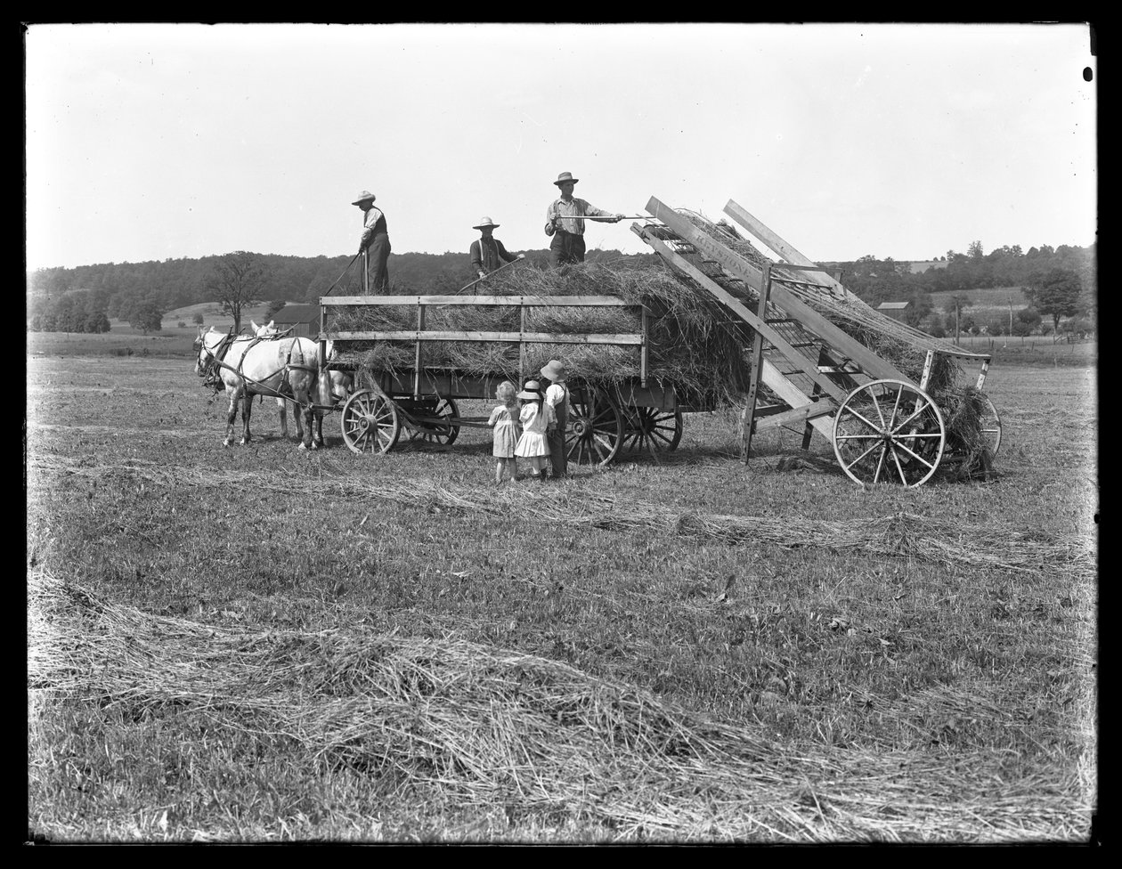 Farmáři nakládají seno na koňský vůz se senem, zatímco tři děti sledují, McCready Farm, Crawford County, Pennsylvania, kolem roku 1913 od William Davis Hassler