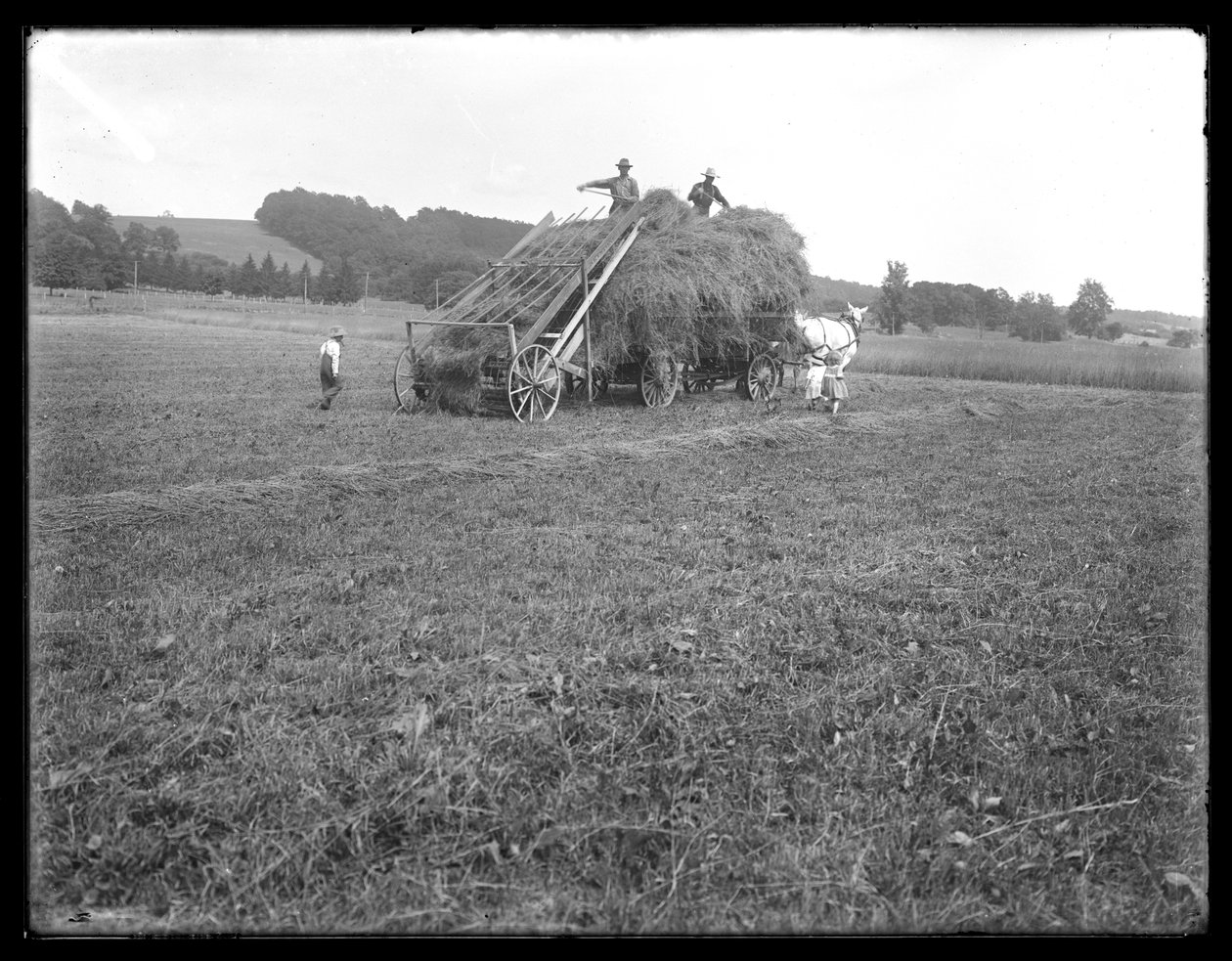 Vůz na seno, farmáři a děti, předvádějící zařízení na zvedání sena, McCready Farm, Crawford County, Pennsylvania, kolem roku 1913 od William Davis Hassler