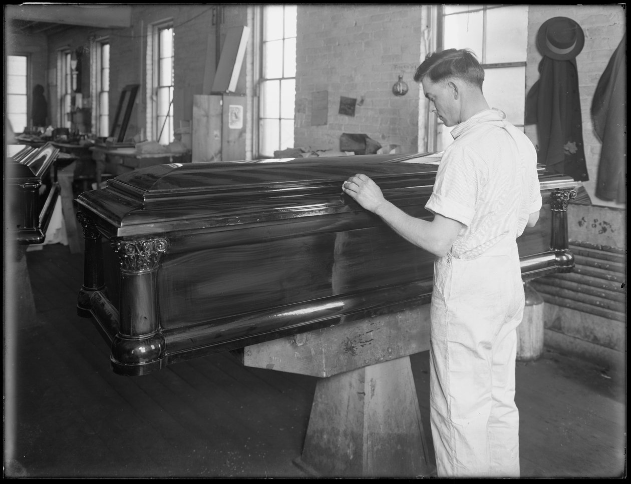 Prohlídka rakve, Oneida, New York, 3. dubna 1916 od William Davis Hassler