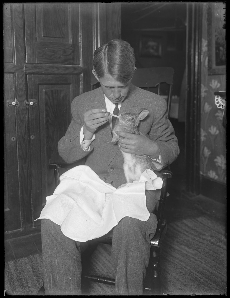 James H. Hassler krmení králíka, kolem roku 1912 od William Davis Hassler