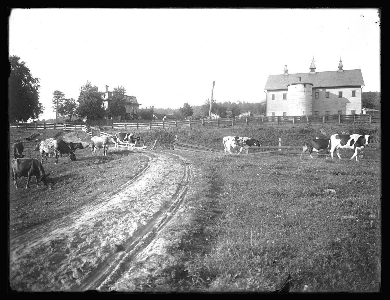 Stodola a rezidence McCreadyových, Pensylvánie, asi 1913 od William Davis Hassler