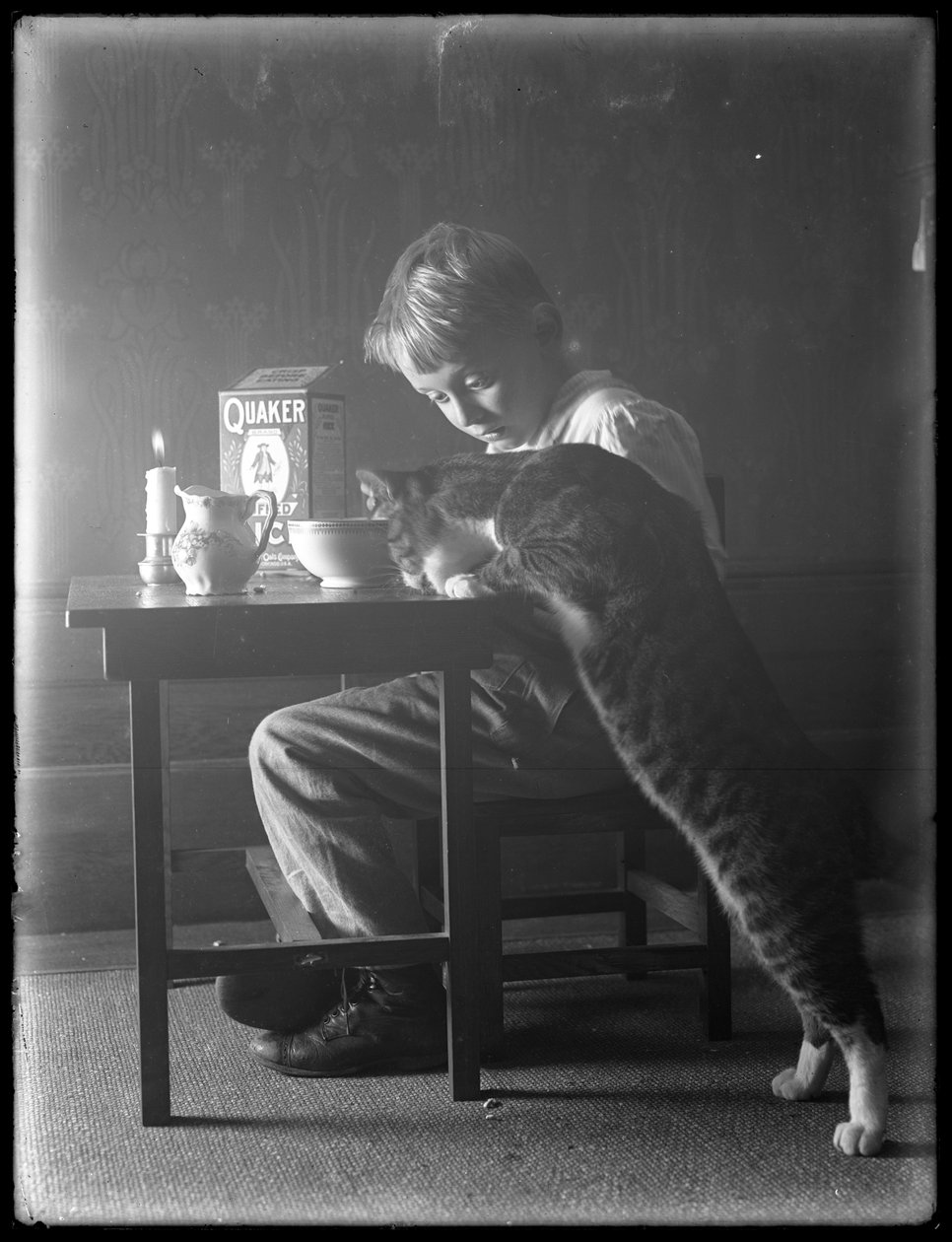 William Gray Hassler a kocour Reddy jedí kvakerské pufované rýžové cereálie, kolem roku 1912 od William Davis Hassler