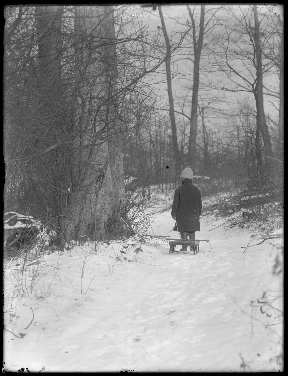 William Grey Hassler táhne své saně zasněženým lesem, kolem roku 1912 od William Davis Hassler