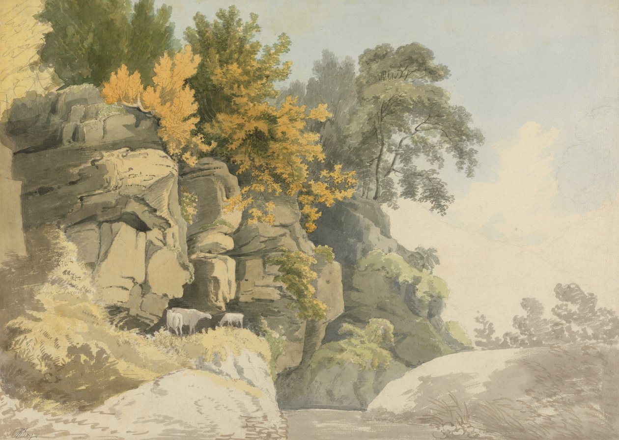 Wooded Rocks by a Stream (Derbyshire?) od William Day