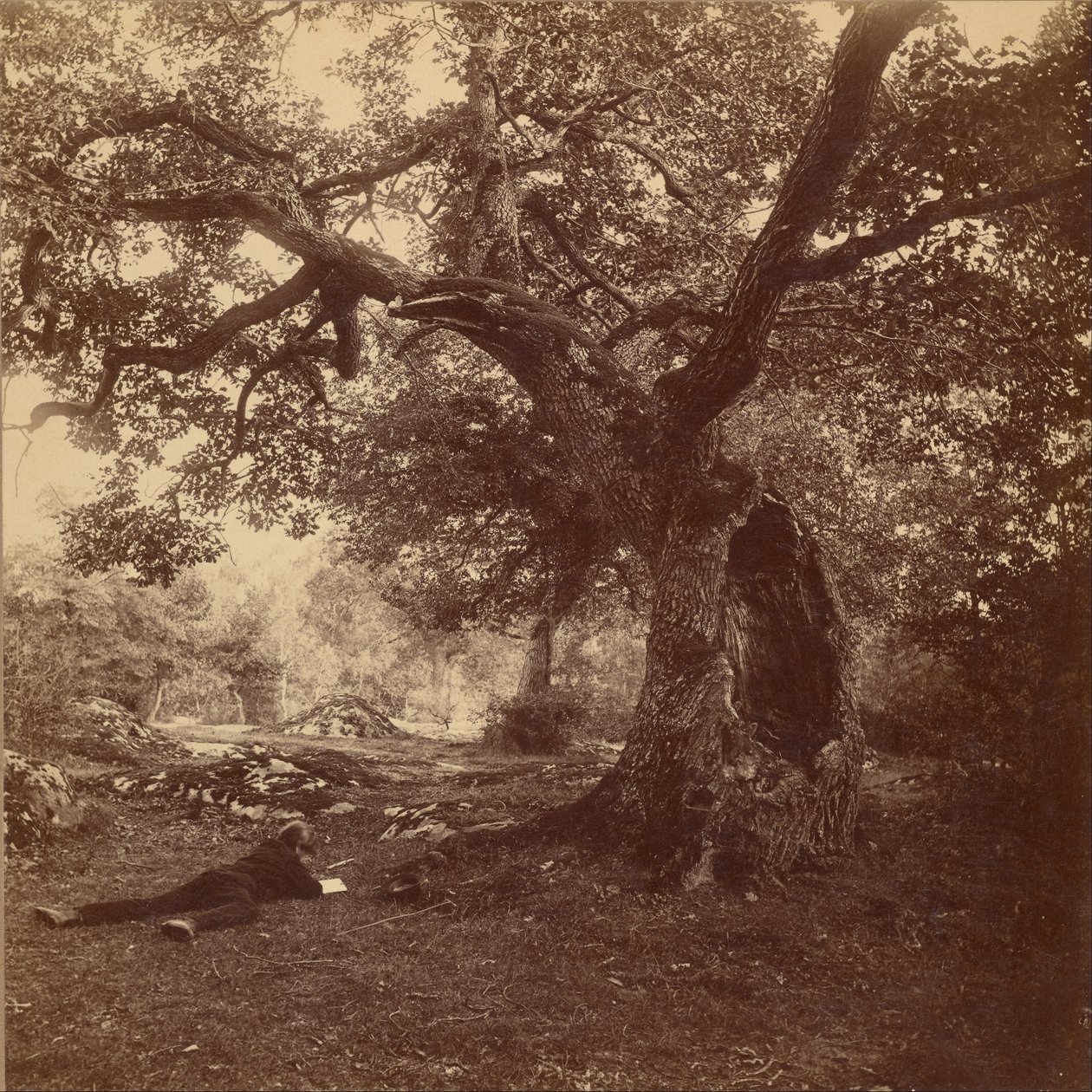 Les Fontainebleau od William Drooke Harrison