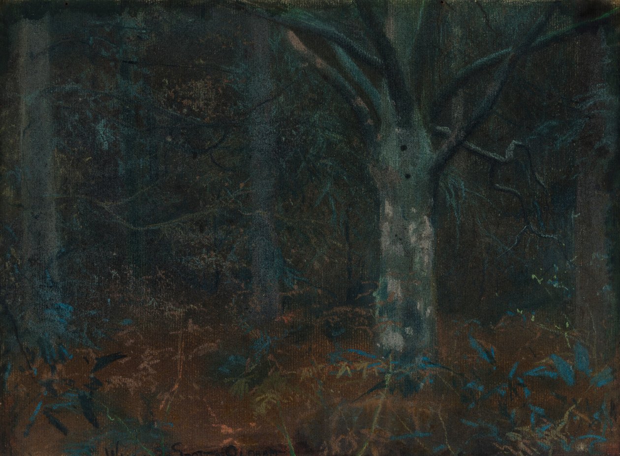Starý Sycamore od William Edward Stott
