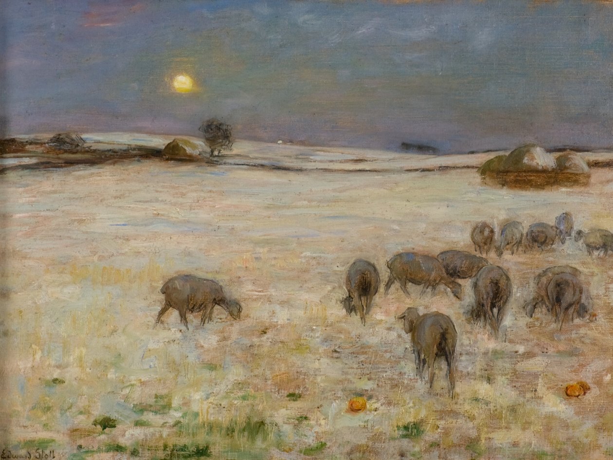 Ovce ve sněhu (olej na plátně) od William Edward Stott