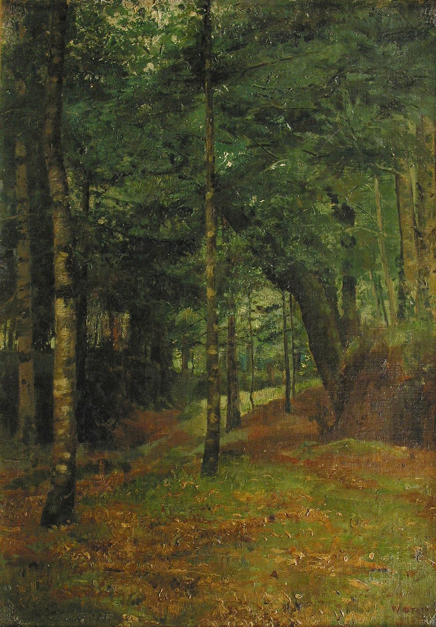 Studie slunce prosvítajícího mezi stromy, Concarneau od William Edward Stott