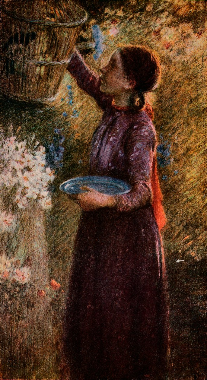 Ptačí klec, c1900, 1918 od William Edward Stott