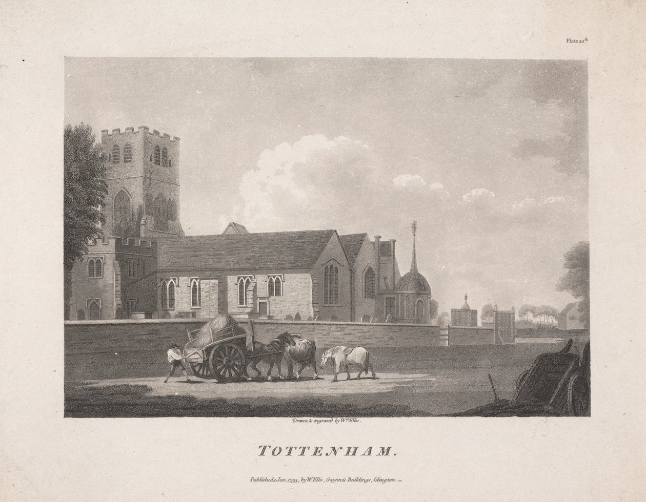Tottenham od William Ellis