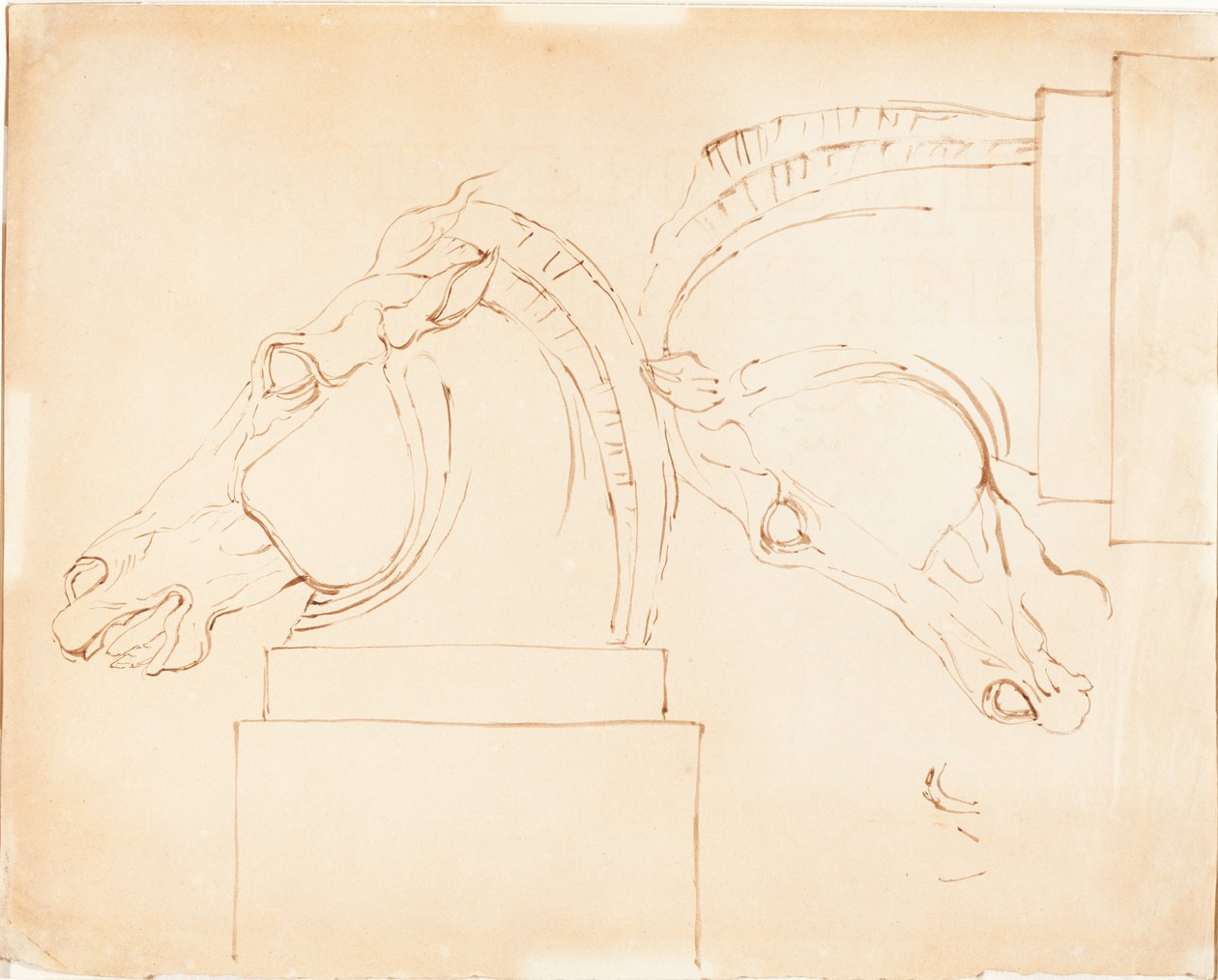 Kůň Selene z Elgin Marbles [recto] od William Etty