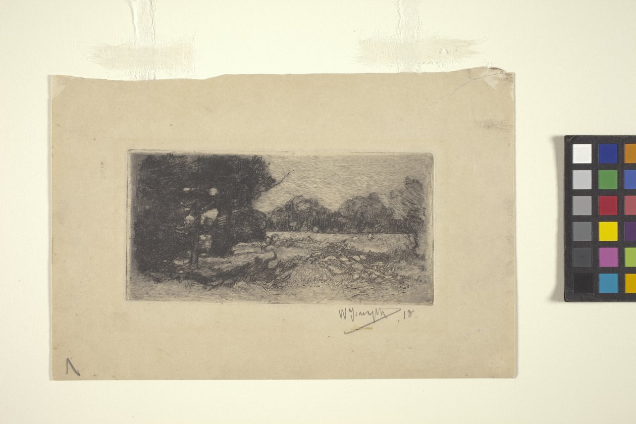 Krajina (lept) od William Forsyth