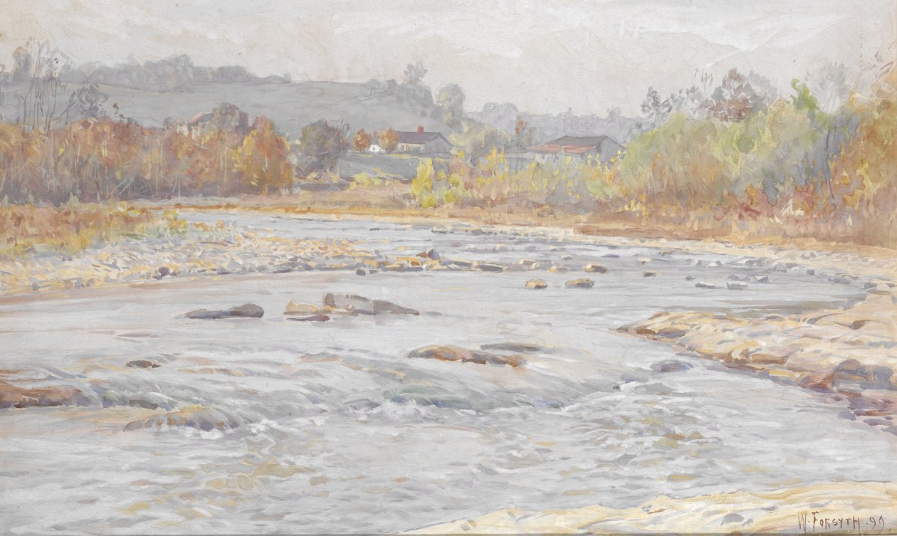 Whitewater Rapids od William Forsyth