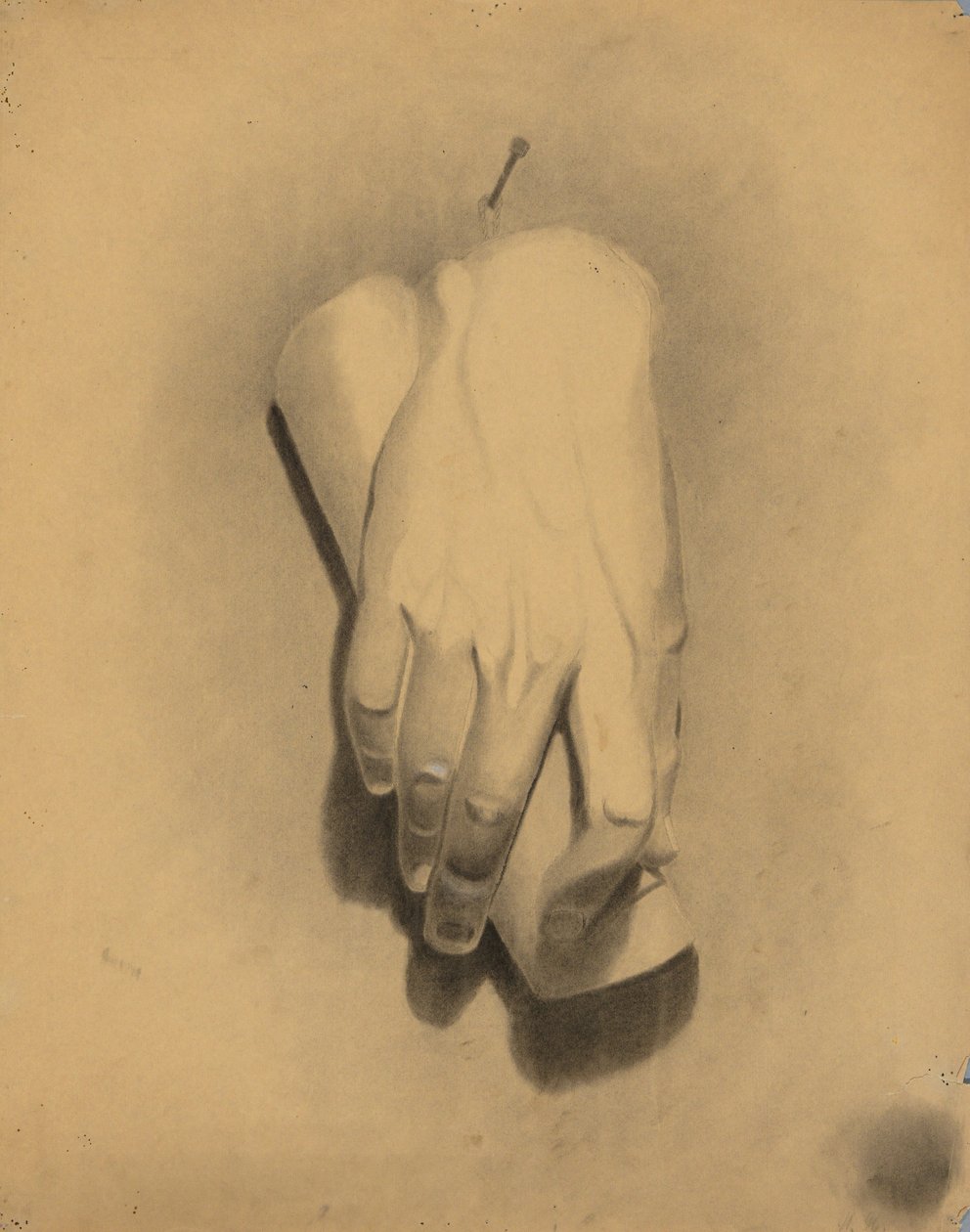 Akademické studium od William Fowler Hopson