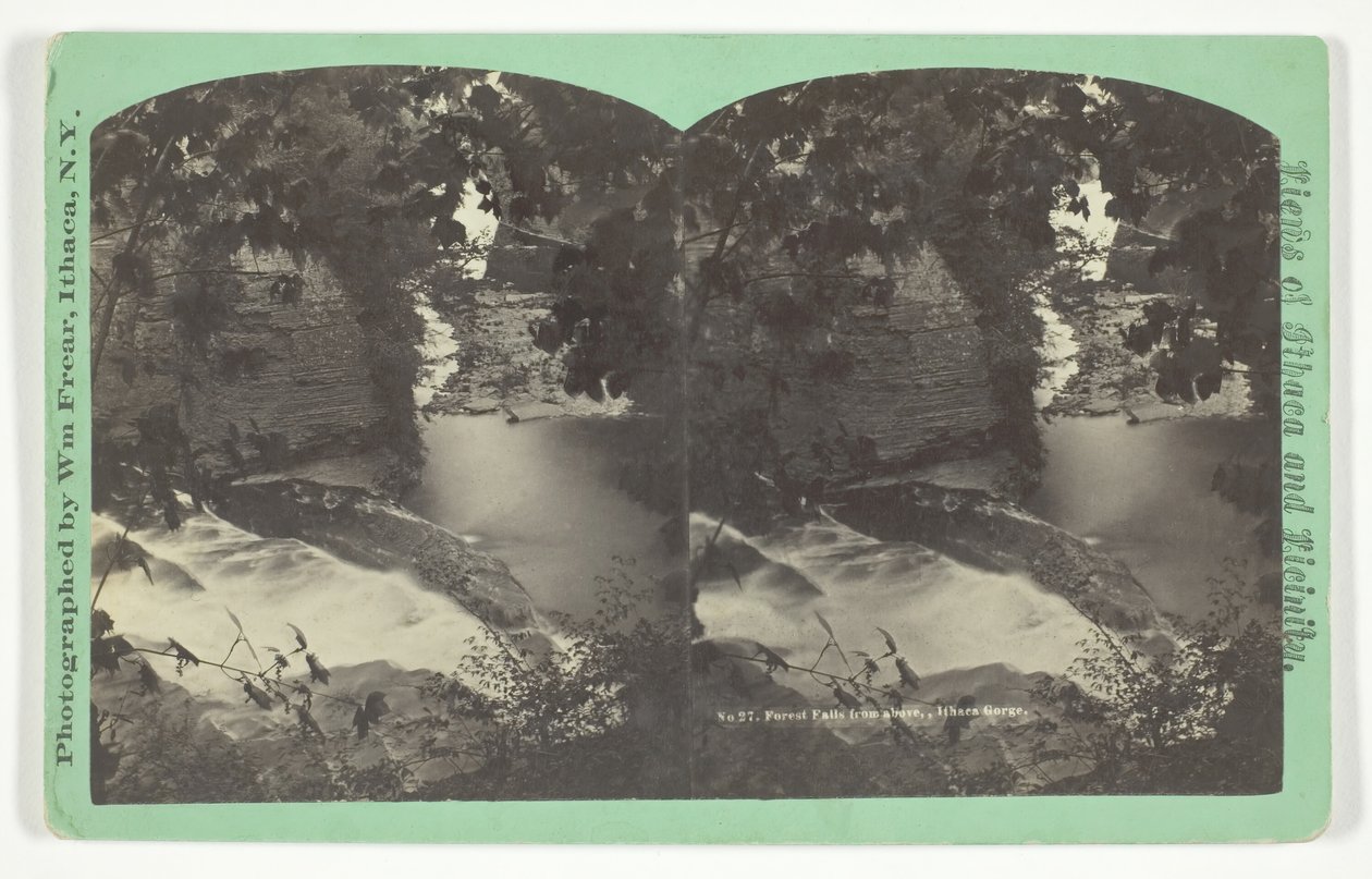 Forest Falls shora, Ithaca Gorge, konec 19. století. od William Frear