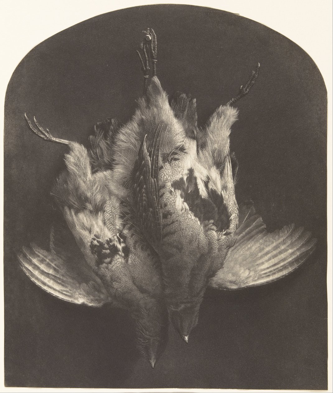Brace of Grouse od William Frederick Lake Price