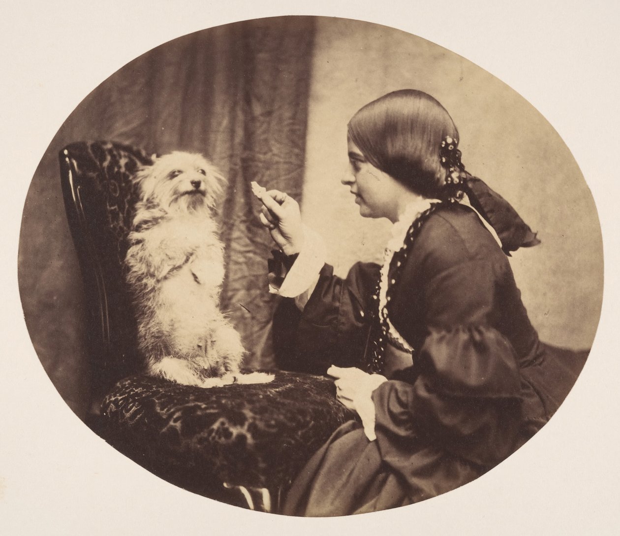 Lekce, 1856. od William G. Campbell