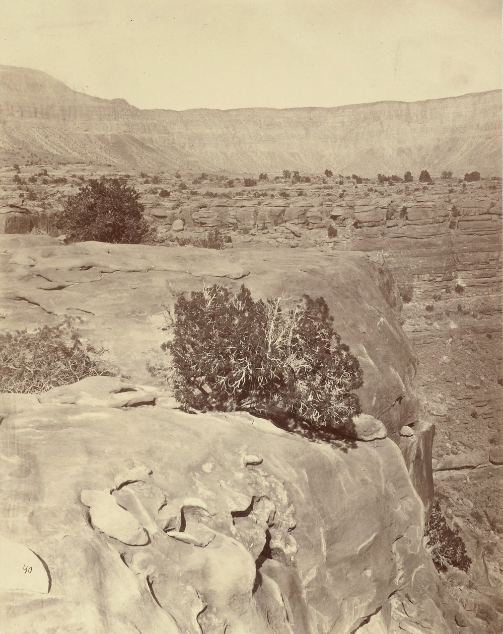 Náhorní plošina severně od Grand Canyonu od William H. Bell