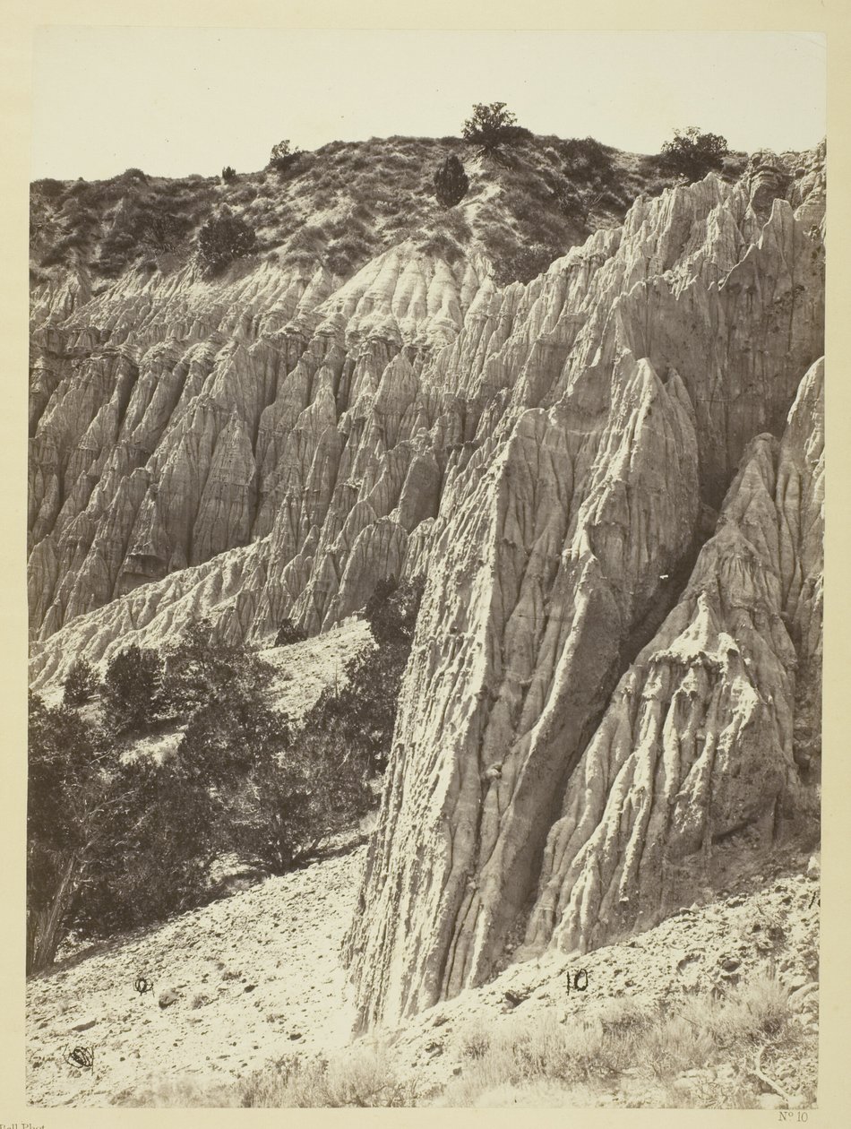 Rain Sculpture, Salt Creek Cañon, Utah od William H. Bell