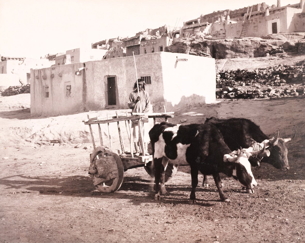 Stará Carreta, Laguna, Nové Mexiko od William H. Jackson