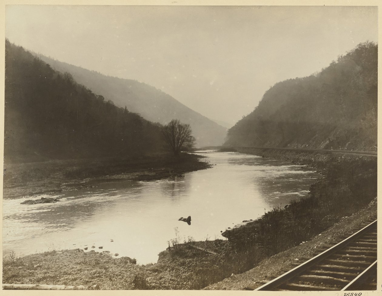 Juniata u ulice Water Street od William H. Rau