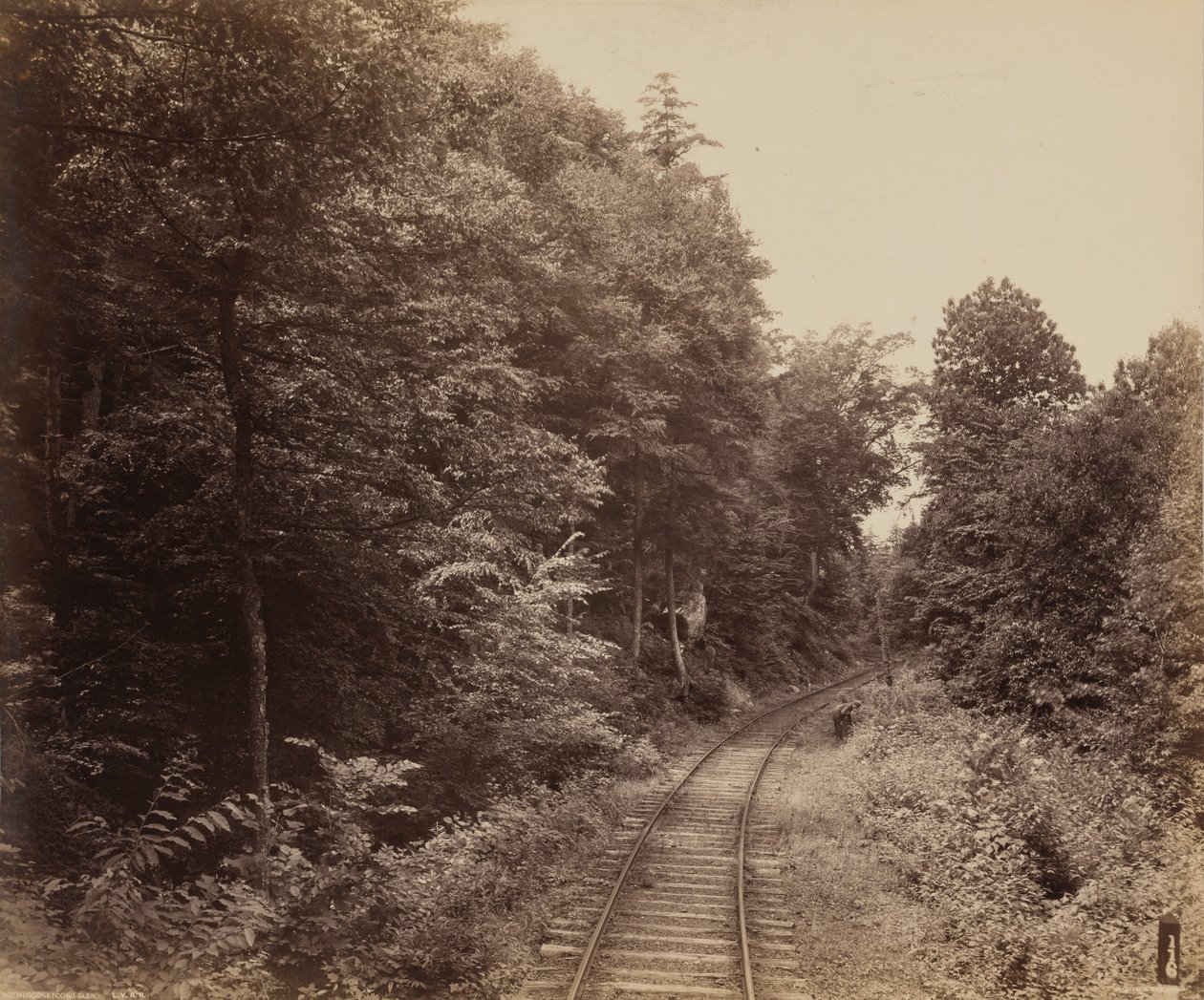 Musconetcong Glen od William H. Rau